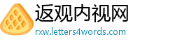 返观内视网